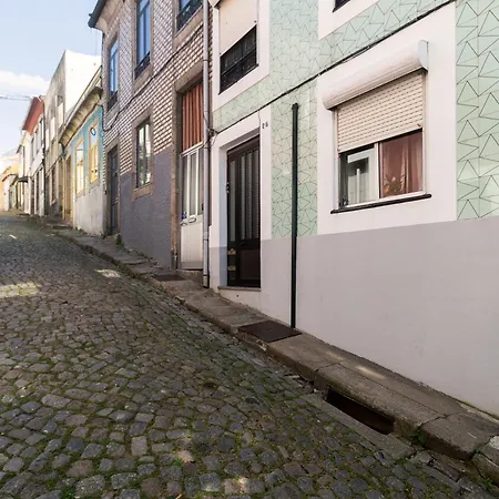 Lady Lapa By Lady Collection